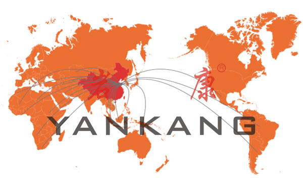 巖康中空吹塑機遠銷國外 中空吹塑機生產廠家